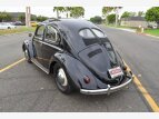 Thumbnail Photo 57 for 1951 Volkswagen Beetle